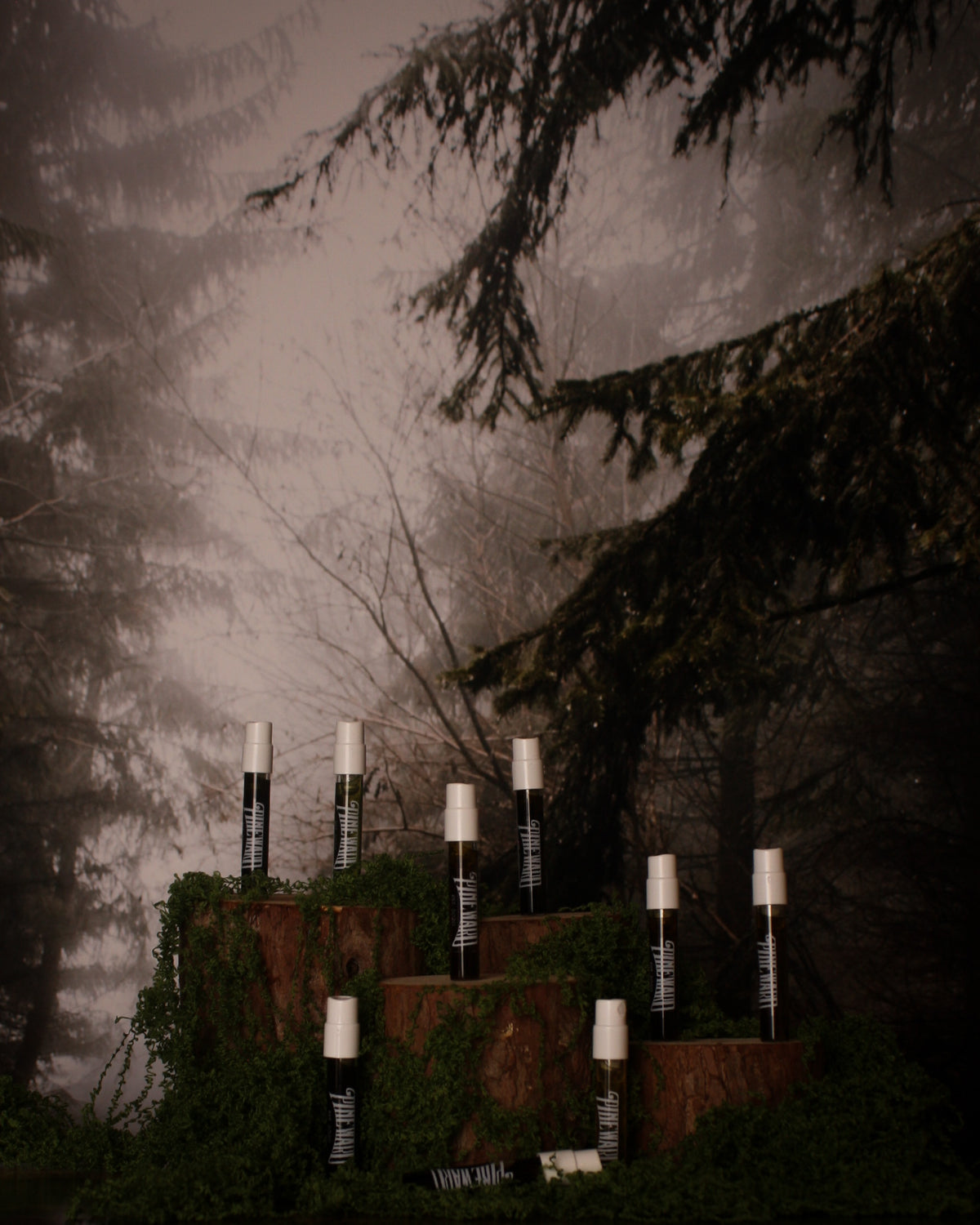 Set of spooky forest-themed candles in cylindrical holders with greenery and wooden blocks