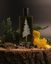 JUNIPERUS