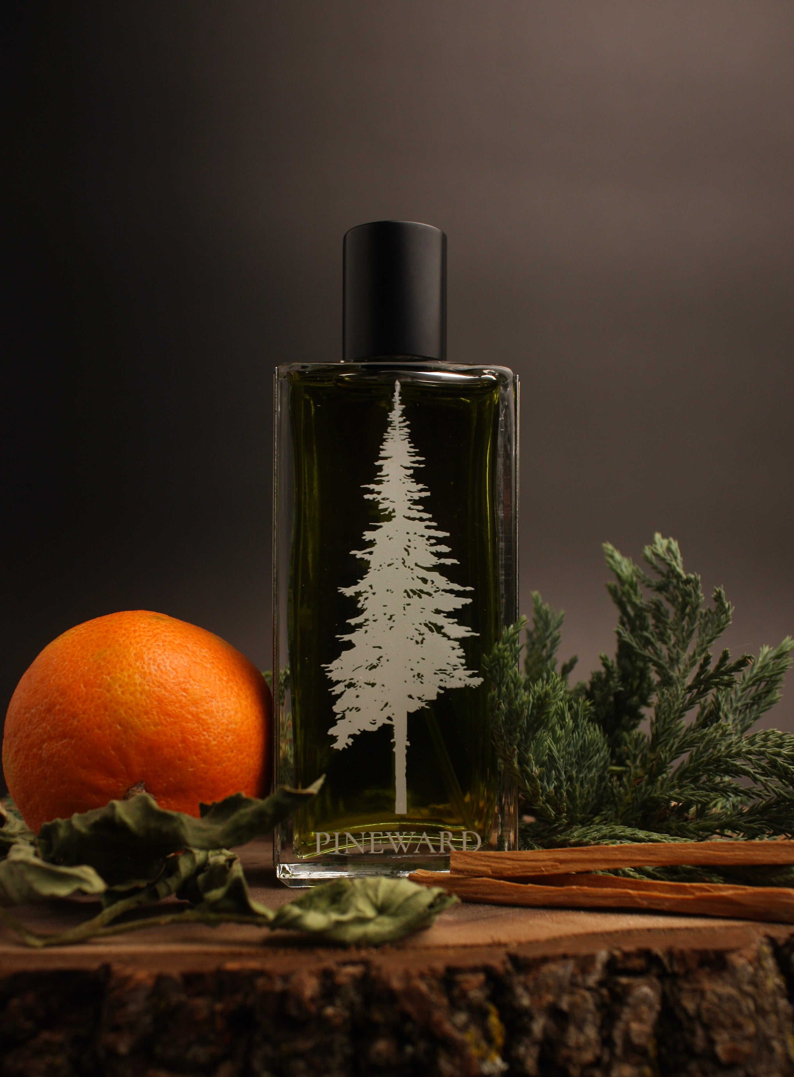 DELFIÑO