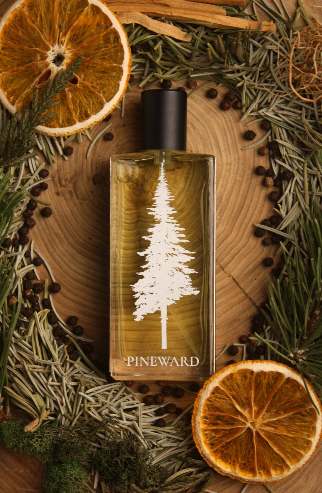 SUBALPINE
