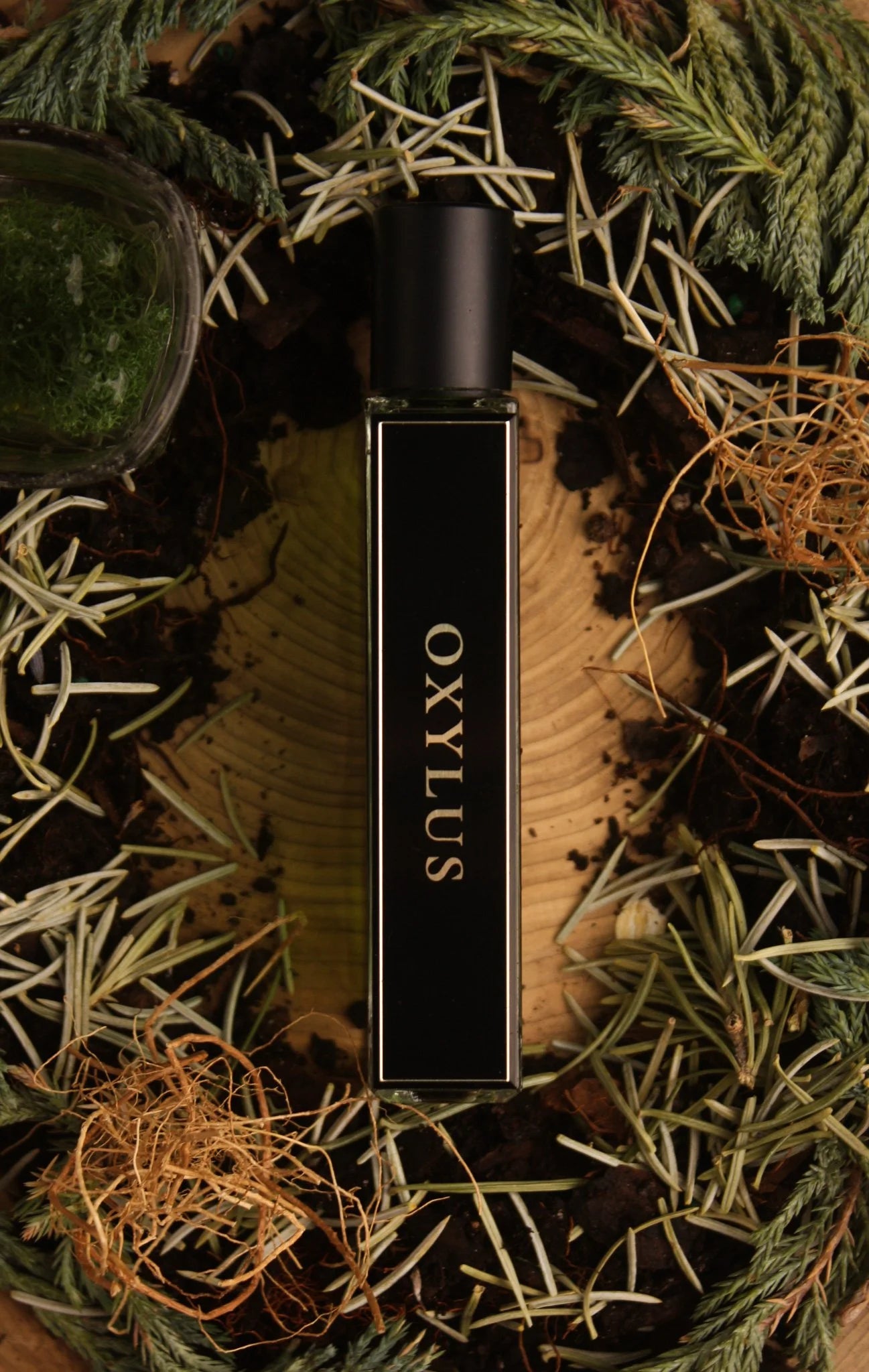 OXYLUS