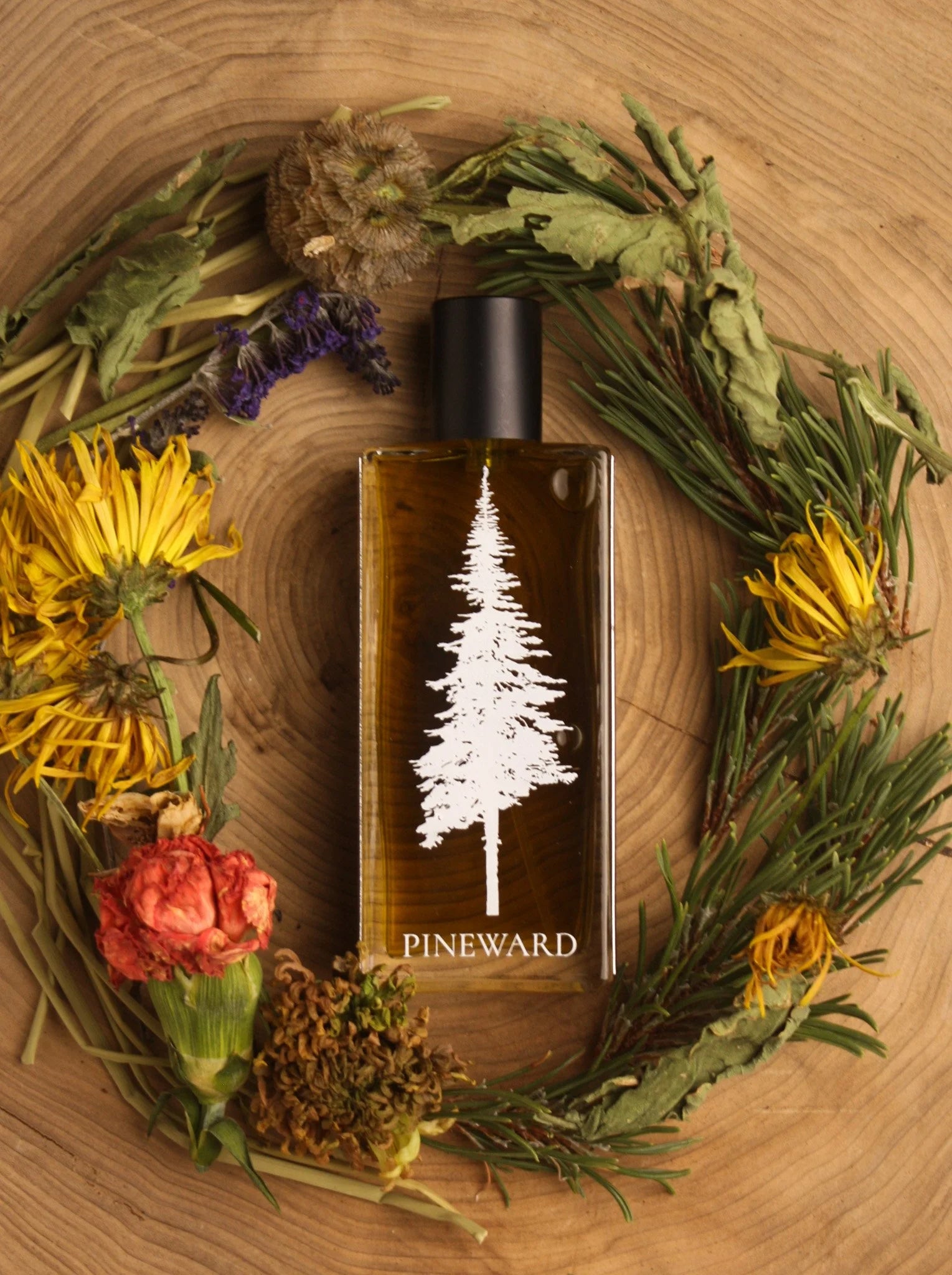 MEADOWMOSS