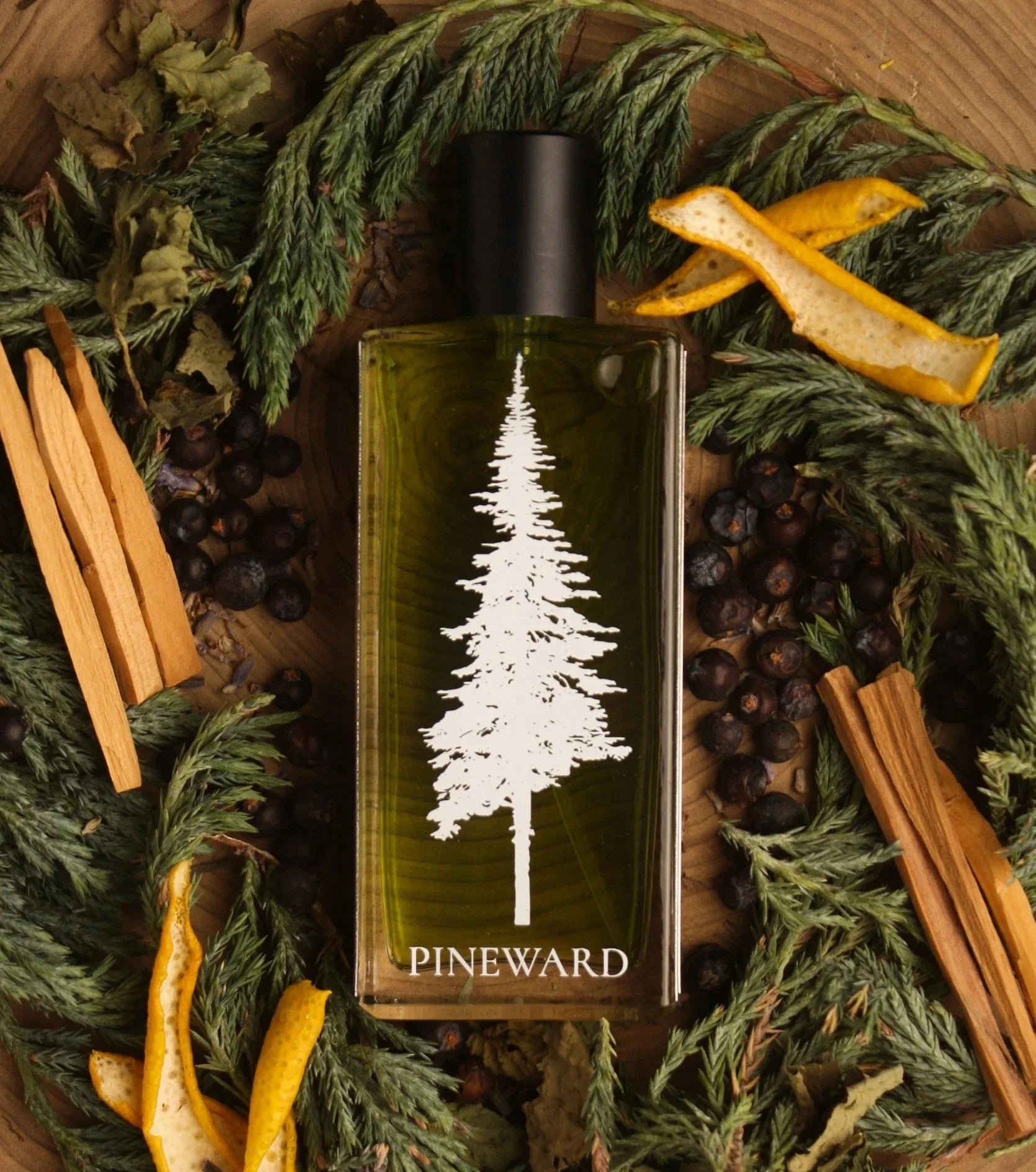 JUNIPERUS