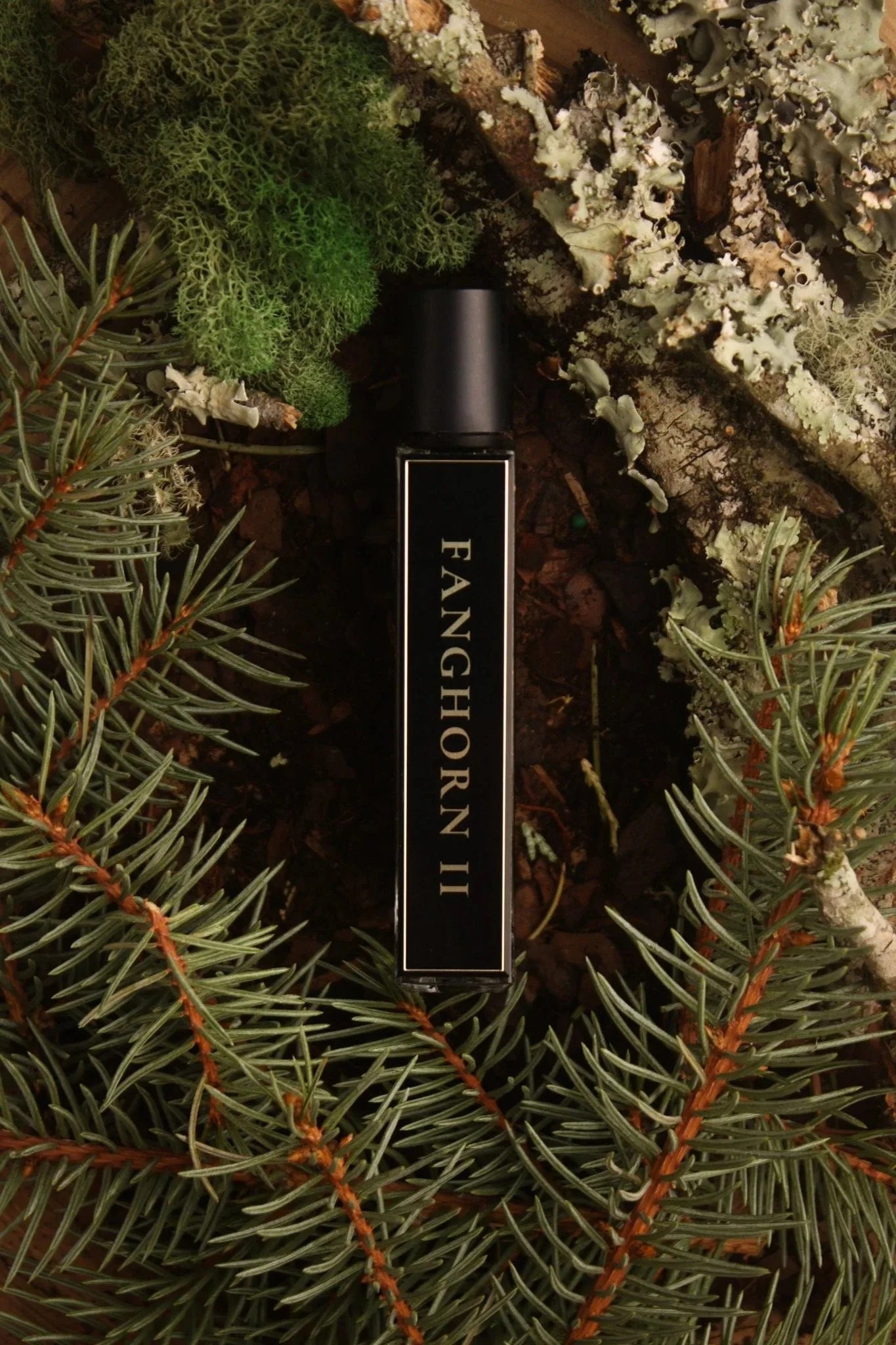 FANGHORN II