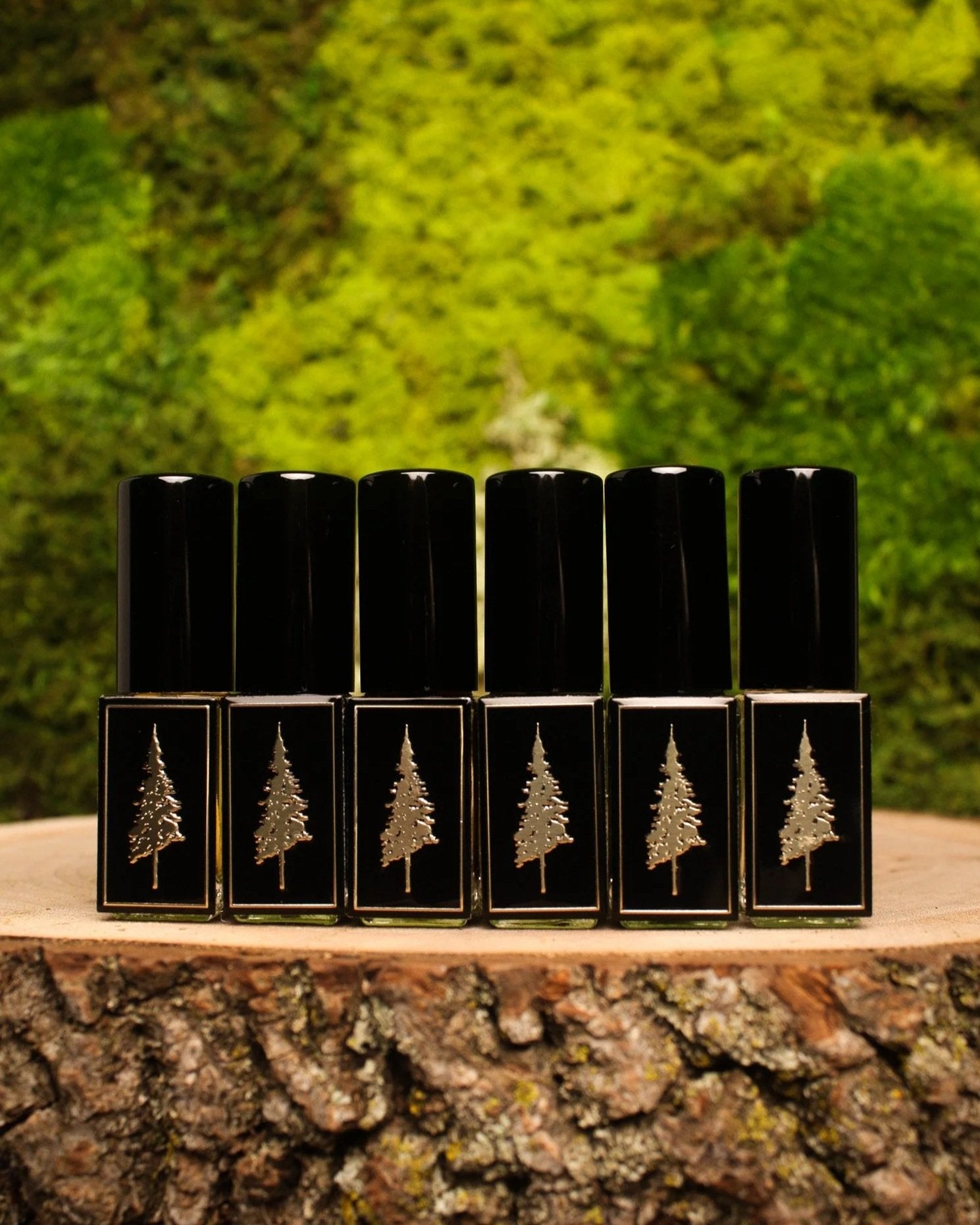 FULL DRAM (4ML) SET
