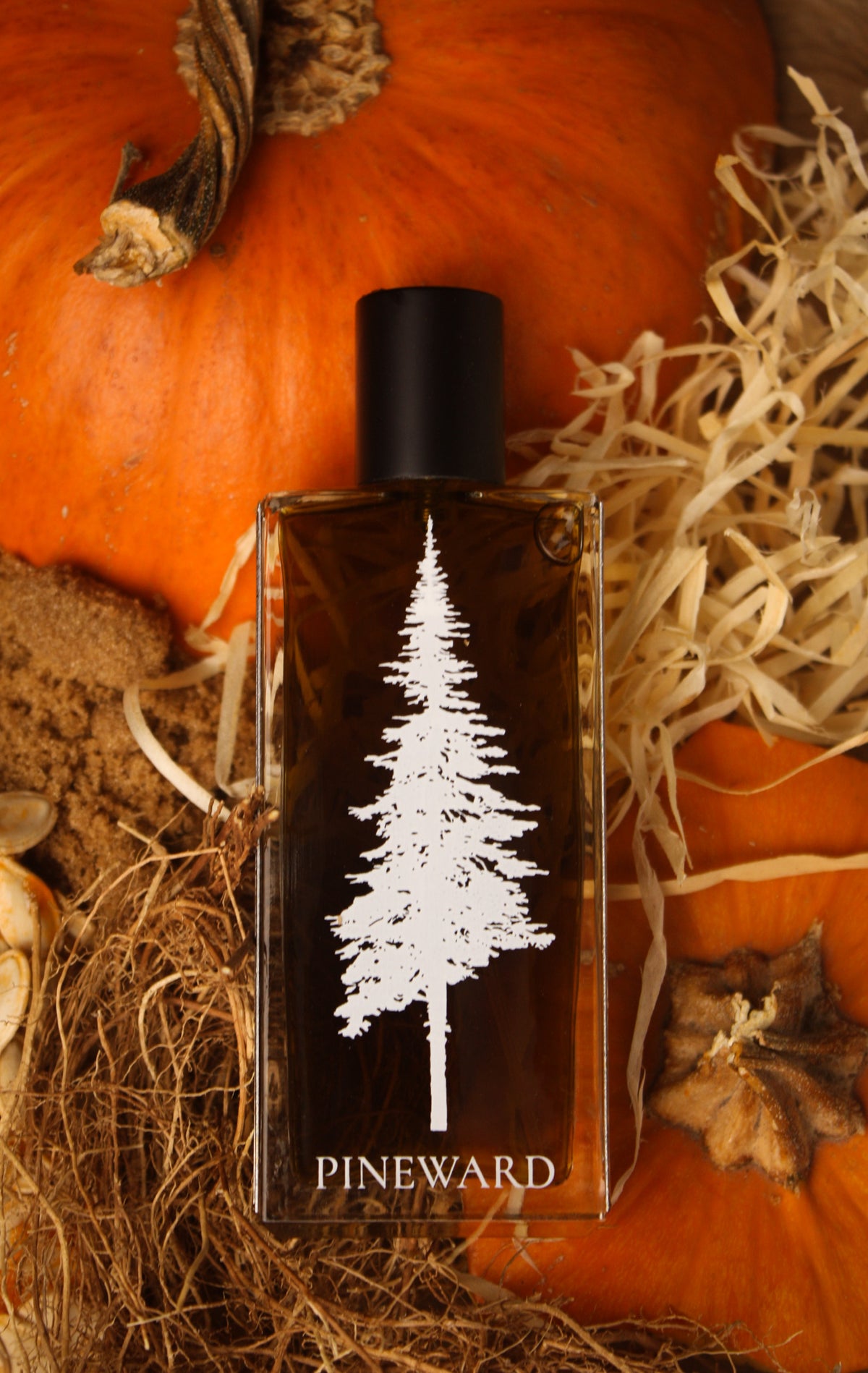 Dark amber perfume bottle with black cap and white pine tree label
