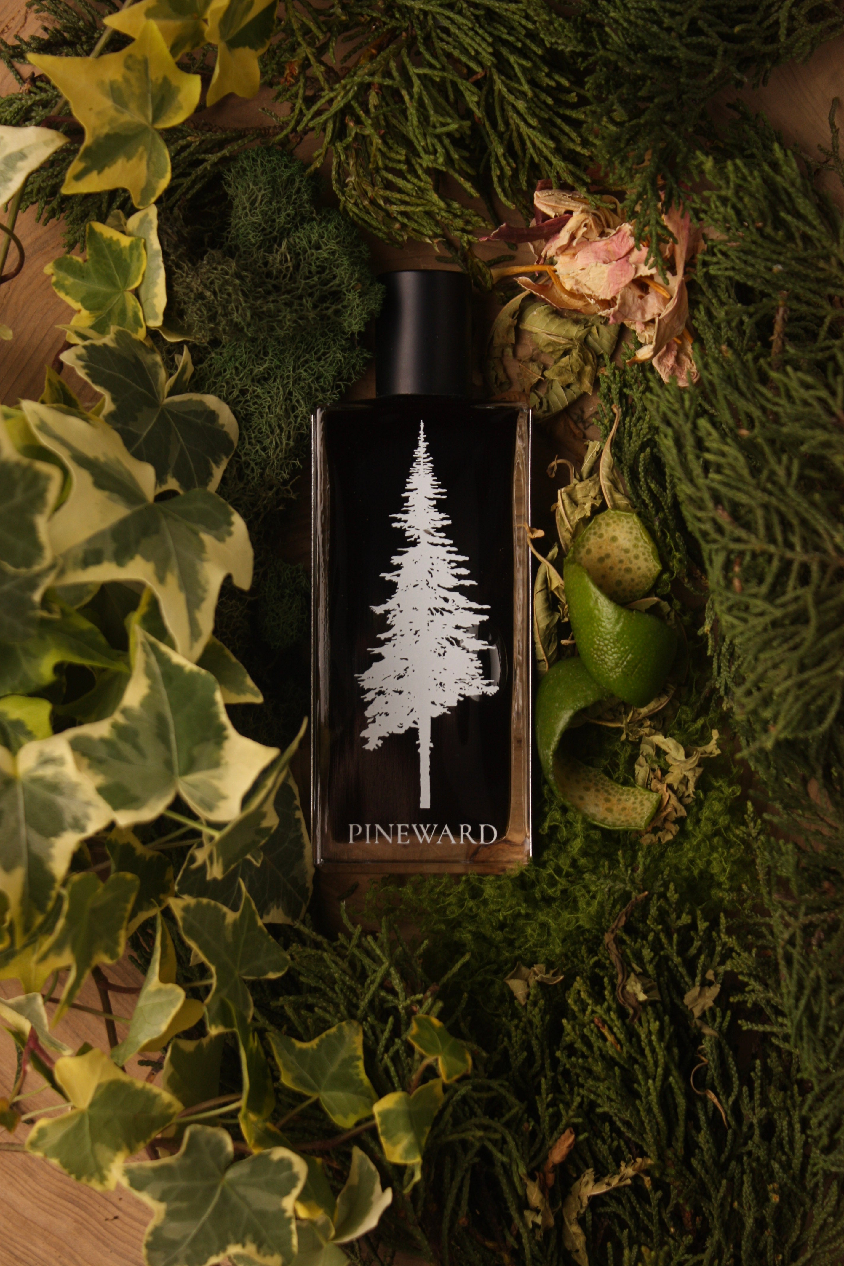 IVYMOSS