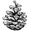 PINEWARD logo